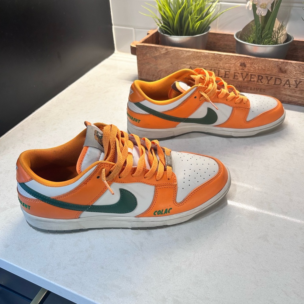 Florida A&M University x Dunk Low 'Rattlers'